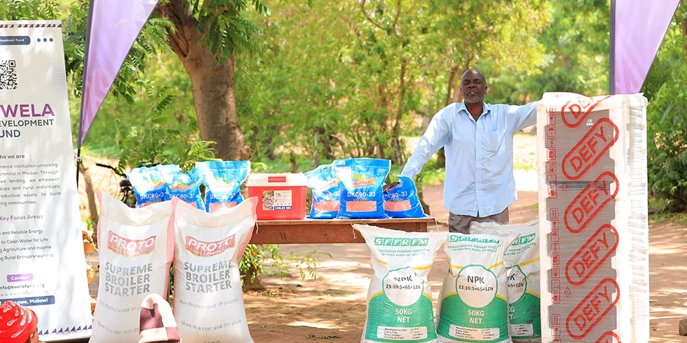 Organic farms avoid toxic inputs, improve soil health, grow clean, sustainable food that supports nature.