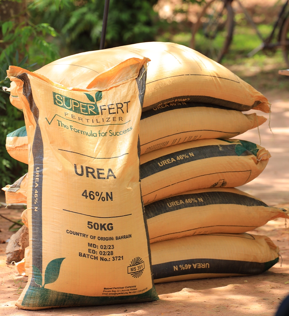 Organic farms avoid toxic inputs, improve soil health, grow clean, sustainable food that supports nature.
